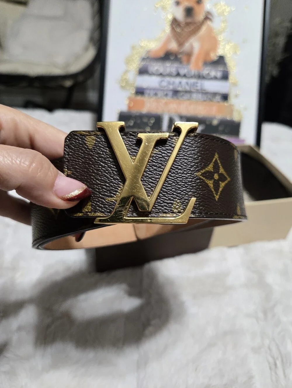Louis Vuitton excellent louis
